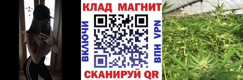 Где можно купить наркотики Сургут Codein  СОЛЬ  МЕФ  Каннабис  ГАШ  АМФ 