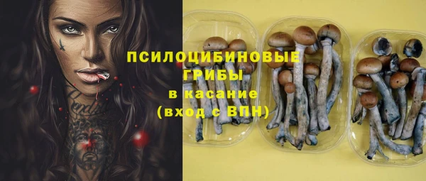 2c-b Алексин