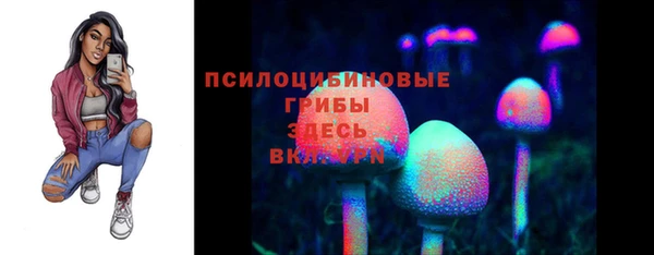 PSILOCYBIN Алзамай