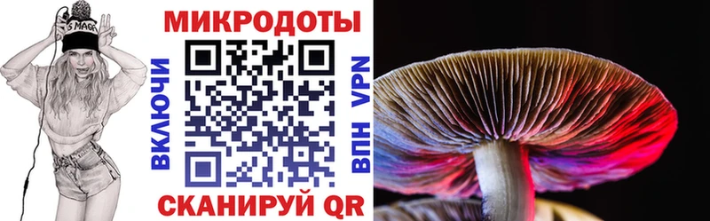 Галлюциногенные грибы MAGIC MUSHROOMS  Сургут 